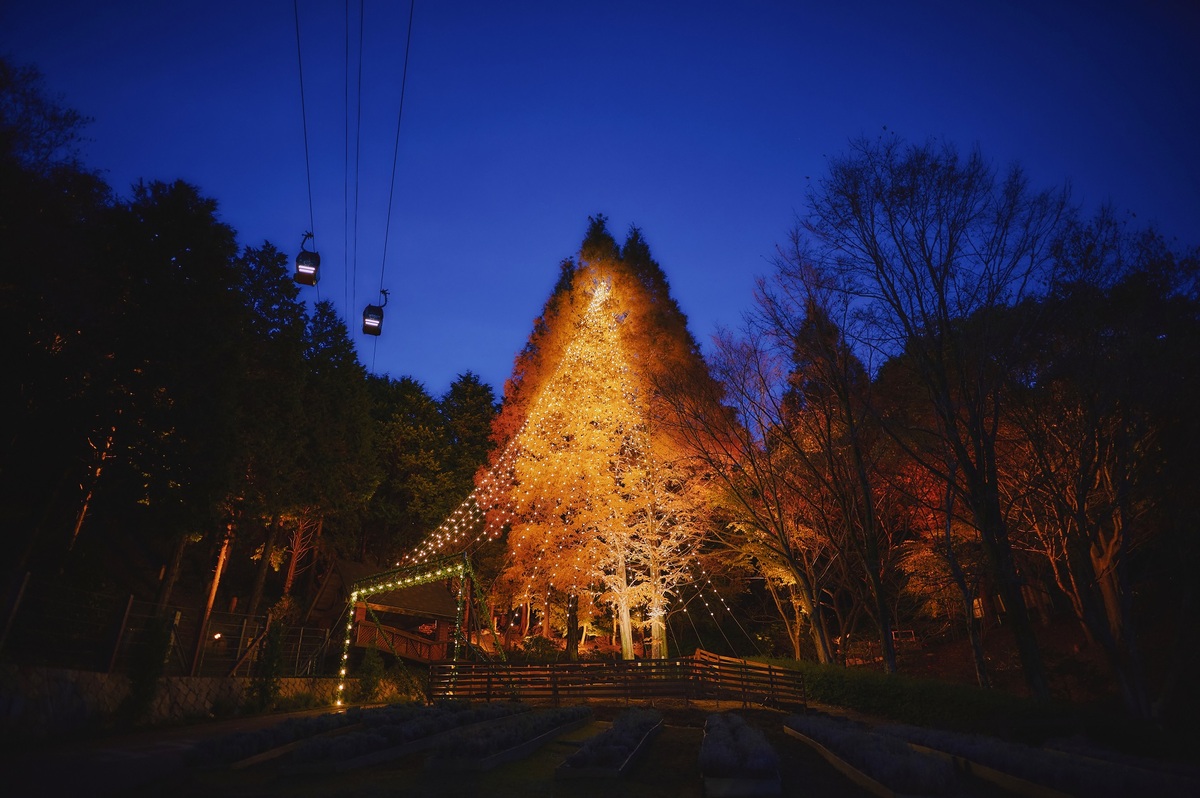 神戸 クリスマス