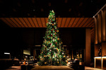 伝統工芸「博多織」を活かしたクリスマスツリー