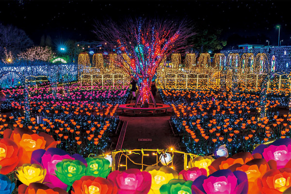 冬のイルミネーションと科学＆アートの体験ドライブ - Highway Walker