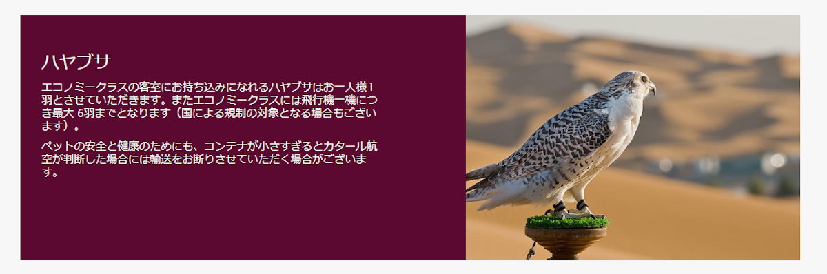 ハヤブサペットの飛行機機内同伴搭乗