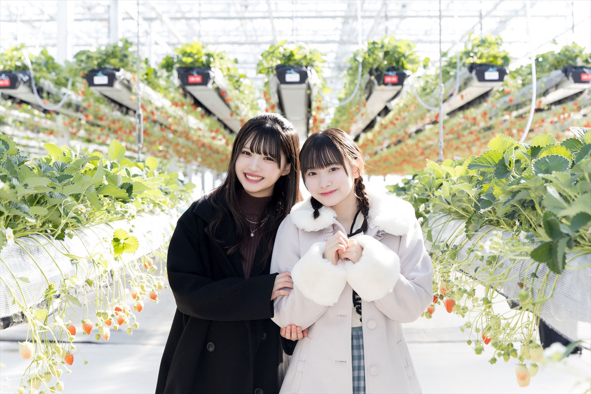 a8396a1c42fc6ef6.jpg