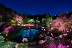 歴史ある日本庭園の夜景を楽しむ　ホテルニューオータニ（東京）「東京『夜桜』ライトアップ」