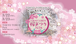 春、先取り！ 開花目前の3月22日・23日は「TOKYO TORCH 桜まつり 2024」で花と食を満喫する日