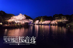 夜桜と音楽を堪能。「平安神宮 桜音夜～紅しだれコンサート2024～」