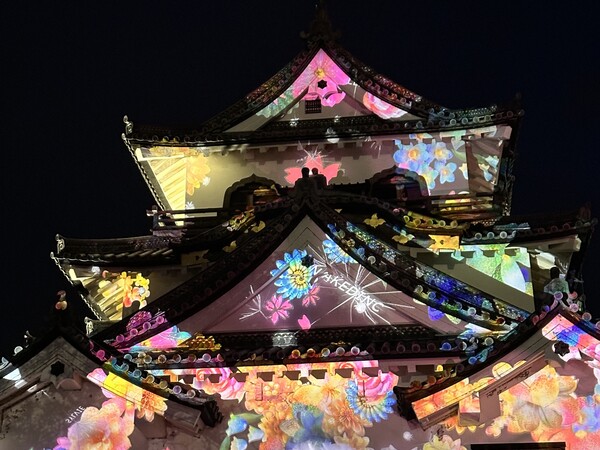 彦根城、桜のライトアップイベントがついに最強になってしまう