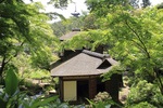 日本庭園が春の景色に。三溪園、新緑の遊歩道を特別開放