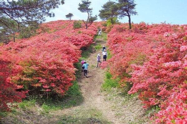 休暇村気仙沼大島