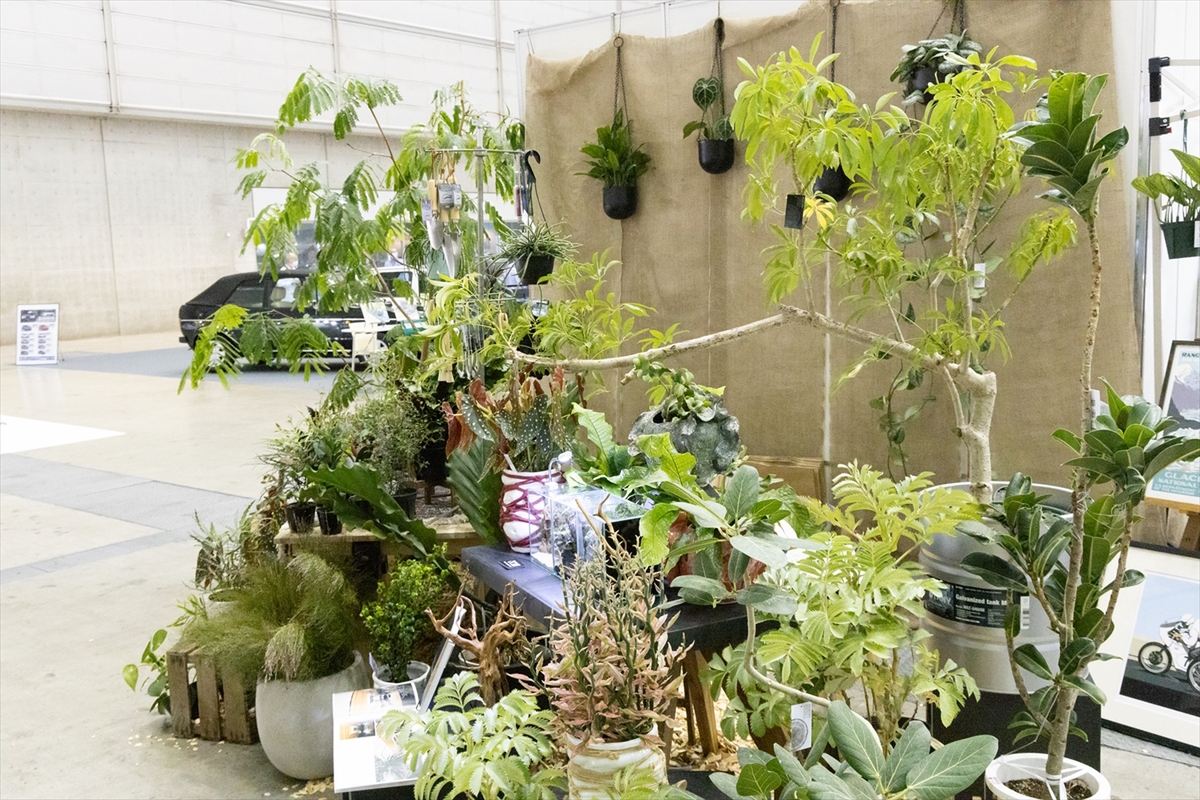 オートモービルカウンシル