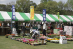 野菜収穫体験や出店も！ 第42回 市原市園芸まつり【館山自動車道 市原ICから約5.5km】