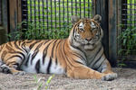 動物園に遊園地、ガラス工房…親子で楽しめる秋田市のおすすめスポット