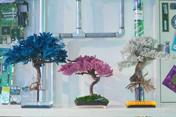 盆栽に新たな命を吹き込む「RE BONSAI」ポップアップイベント EATo