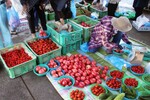 野菜・フルーツからお菓子など様々なものが並ぶ 新潟ふるさと村「朝市」毎週日曜開催中【新潟東西道路 黒埼ICから約1.5km】