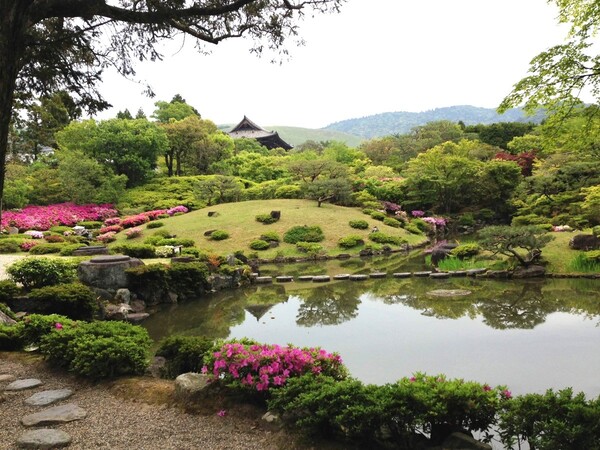 奈良公園