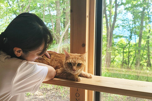 保護猫との宿泊体験ができる施設が大分・湯布院にオープン