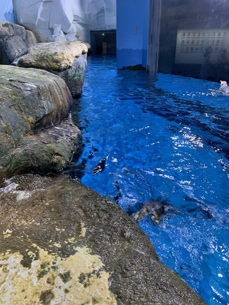 横浜・八景島シーパラダイス