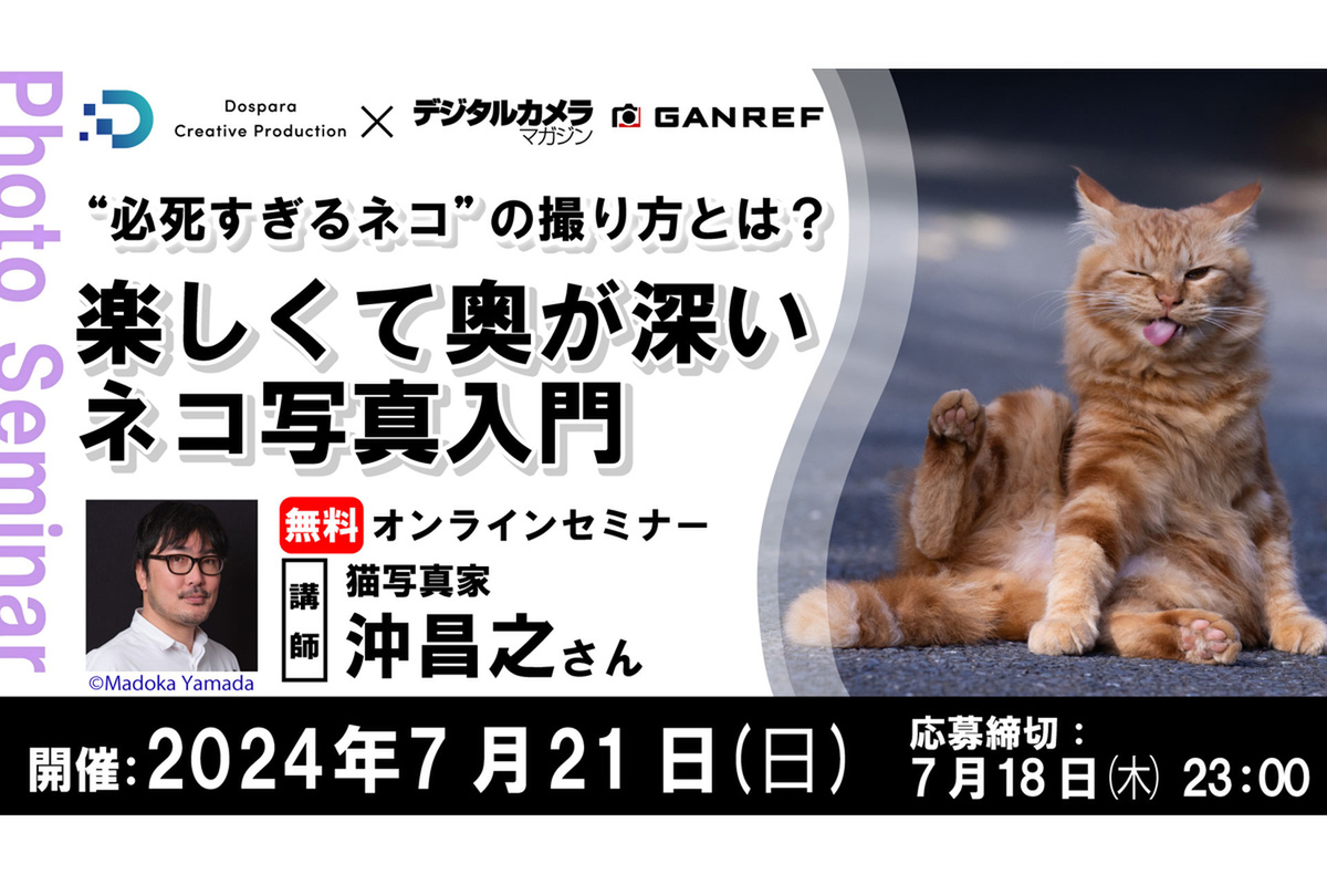 ASCII.jp：ネコの撮り方を学ぼう オンラインウェビナー「“必死すぎる