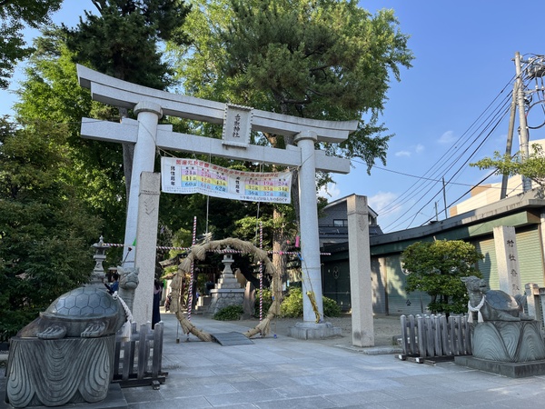 亀有香取神社の駒亀