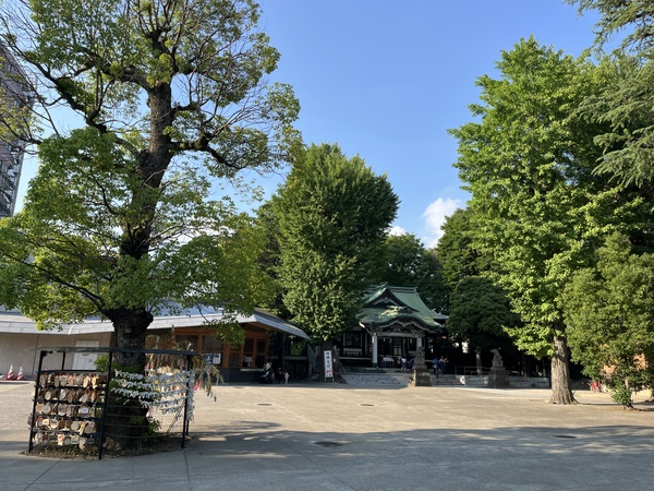 亀有香取神社の境内