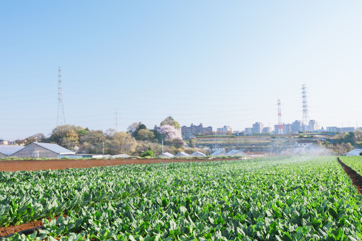 横浜 都筑区