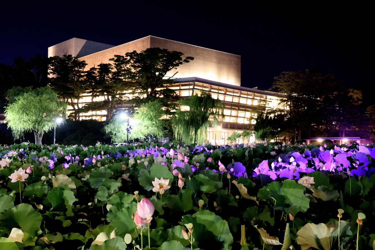 千秋公園 ライトアップ