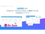 CData ArcでDr.Sum Server と連携する方法（Databaseコネクタ）