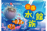 猛暑の中でも「涼」を感じる「出張水族館」 さいたま市「美楽温泉SPA-HERBS」にて8月10日～8月19日開催【東北自動車道 岩槻ICから約7km】