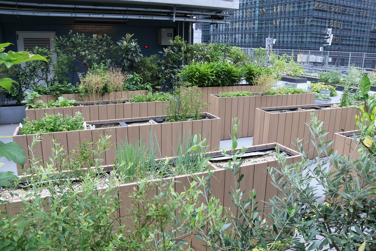 Edible park Otemachi by grow