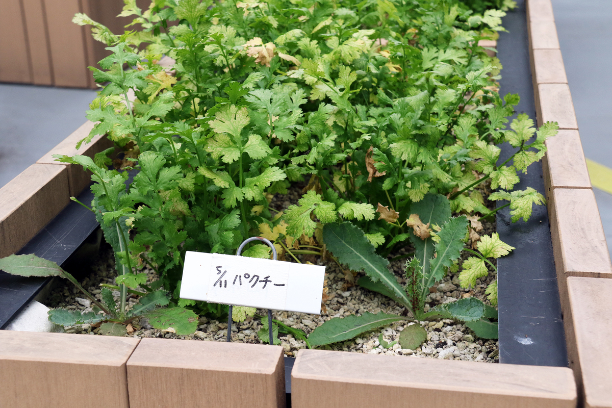 Edible park Otemachi by grow