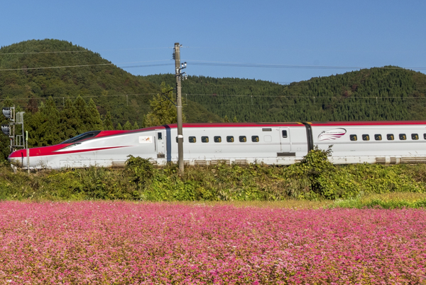 E6系新幹線電車