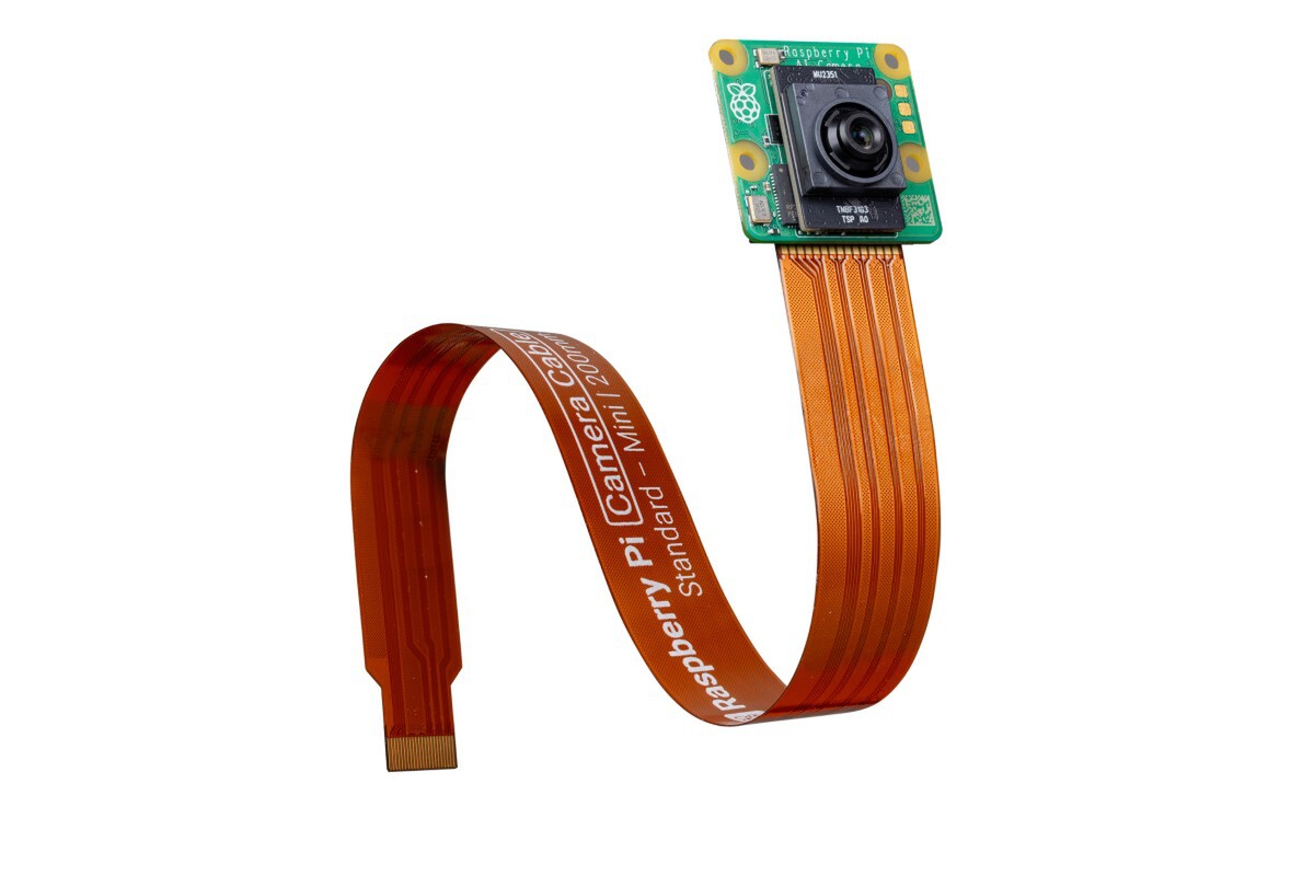 e60030fc35943556.jpg