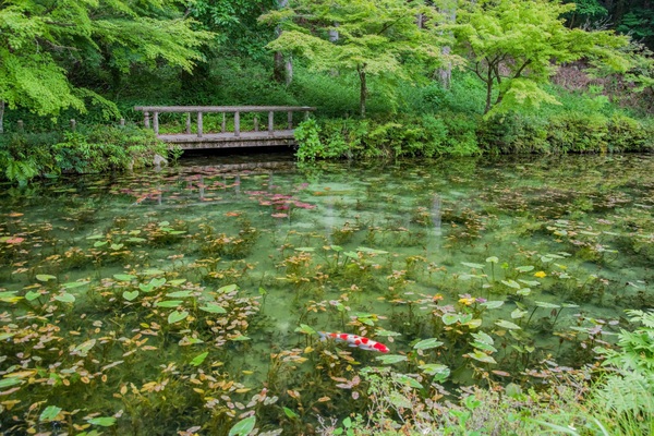 岐阜再発見！絶景・グルメ・映えスポットを巡るおすすめプランはコレだ！