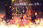 日本最大級の光の祭典「時之栖イルミネーション」が10月11日より開幕！