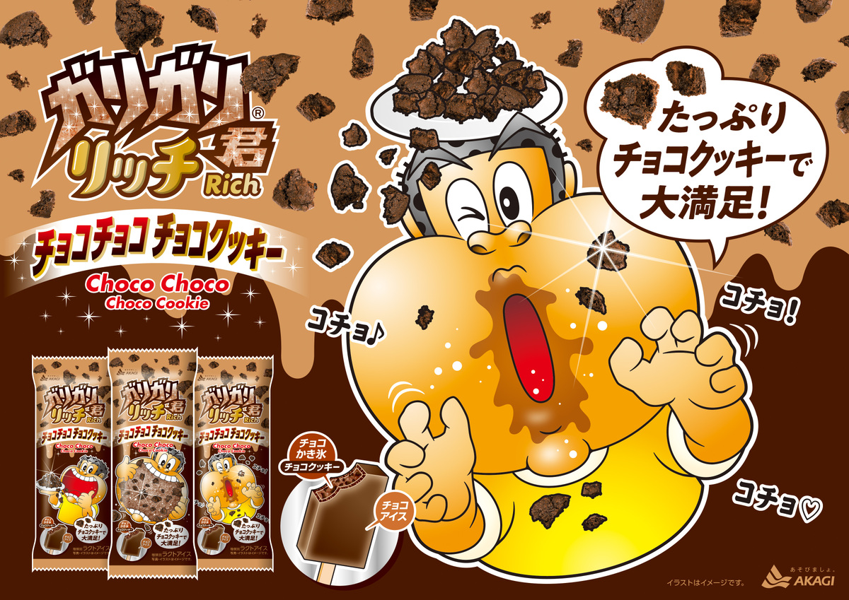 「ガリガリ君リッチチョコチョコチョコクッキー」