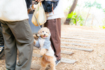 自然の中で愛犬と楽しもう！ 千葉公園近くのカフェで「ワンワンマルシェ」11月9日・10日開催【京葉道路 穴川ICから3km】