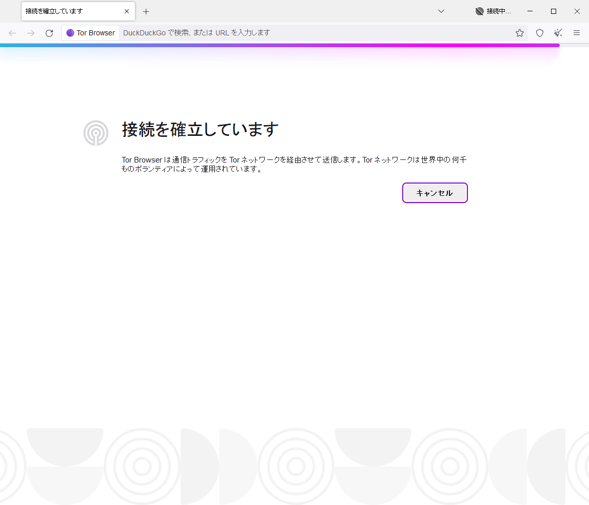 Tor Browser