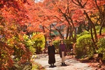 紅葉に染まる秋の筑波山、特別イベントで魅力満載【常磐自動車道 土浦北ICから20km】