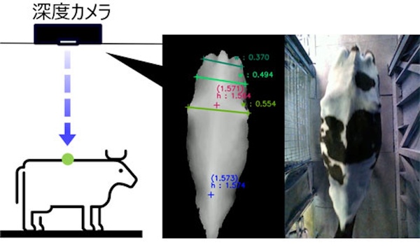 判定システムのイメージ