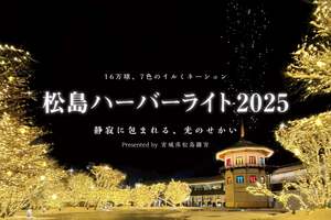 16万球の光が彩る「松島ハーバーライト2025」開催！冬の幻想的な光景を楽しむ【仙台松島道路 松島海岸ICから約3km】