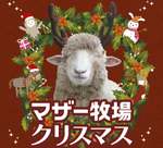 動物たちとの特別なクリスマスが訪れる！マザー牧場の新イベント開催【館山自動車道 君津ICから約13.5km】