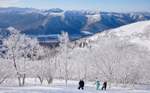 北海道で冬の絶景を満喫！星野リゾート トマムの「絶景霧氷スノーシュー」で特別な体験を【道東自動車道 トマムICから6km】