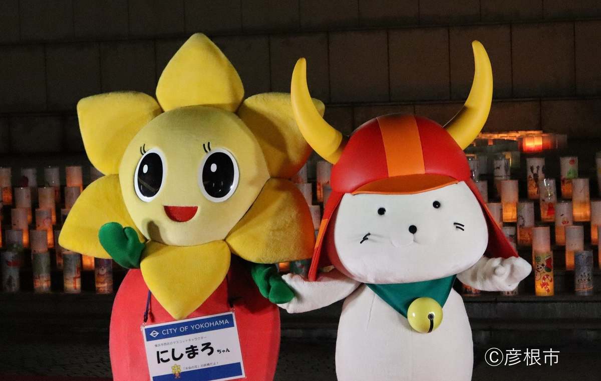 ASCII.jp：「ひこにゃん」が横浜みなとみらいに出陣！西区キャンドル