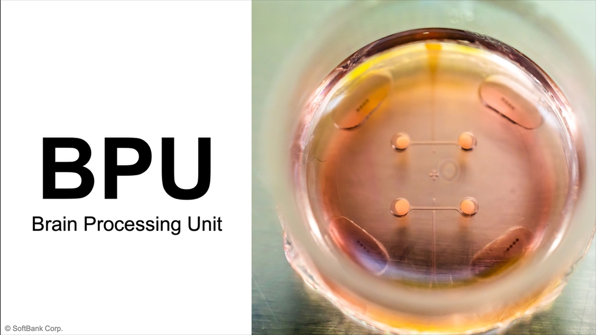 第ニ種短期集中ゼミ　日本ユニシス情報処理システム教育研究会　SOFTBANK 第ニ種短期集中ゼミ 日本ユニシス情報処理システム教育研究会