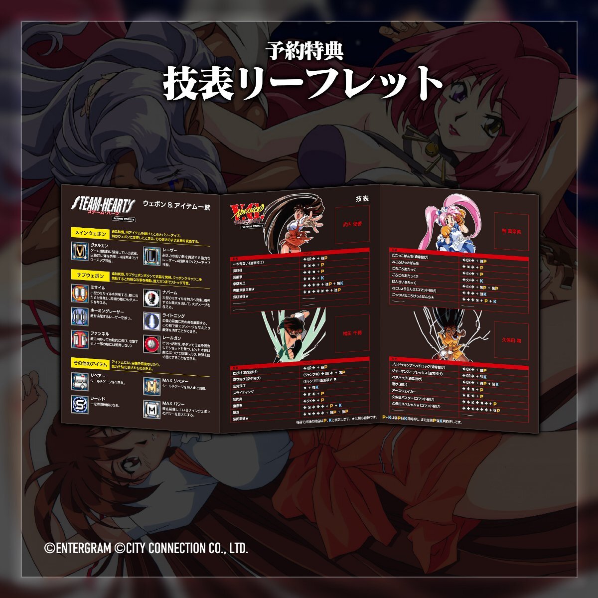 SFシューティング『スチーム・ハーツ』と対戦格闘『ヴァリアブル・ジオ』が2in1で5月29日に発売決定!