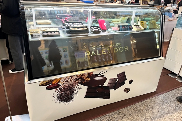 ã·ã§ã³ã©ãã£ãšãã㬠ã ãªãŒã«