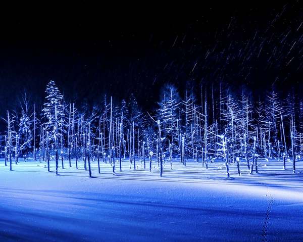 北海道美瑛「青い池」冬季ライトアップ開催中！幻想的な雪景色を海外