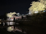 梅の花や満開の桜に彩られた長野市で2つの春祭りを満喫♪