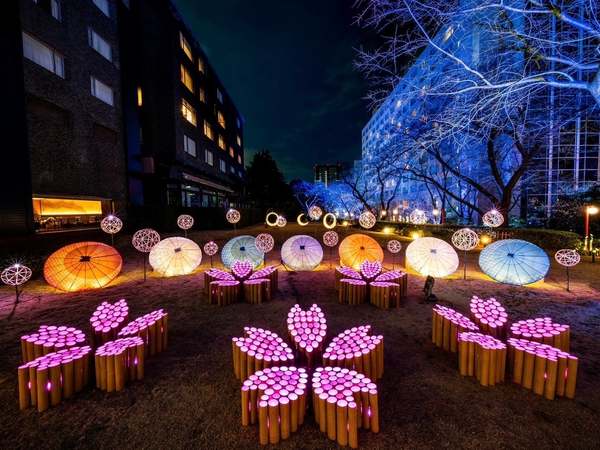高輪の桜絶景！竹あかりと桜のコラボレーション『高輪 桜まつり2025