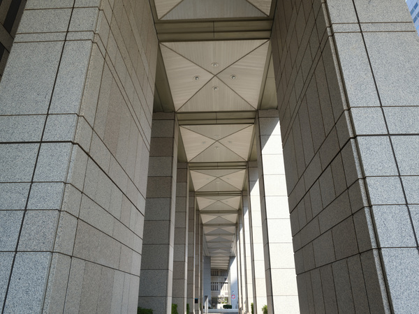 「GFX100RF」実機レビュー