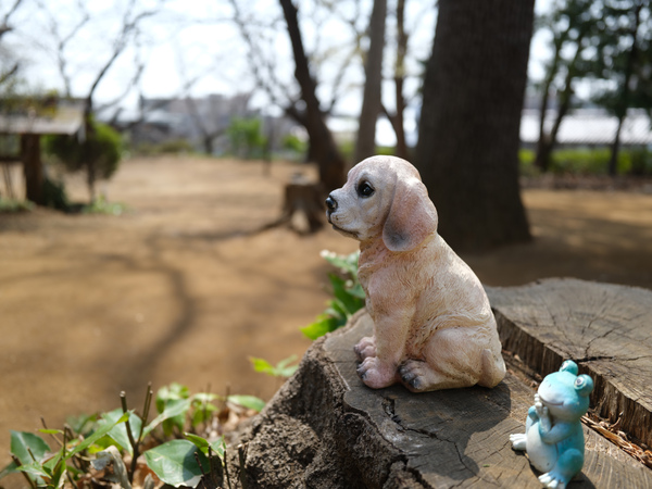 「GFX100RF」実機レビュー