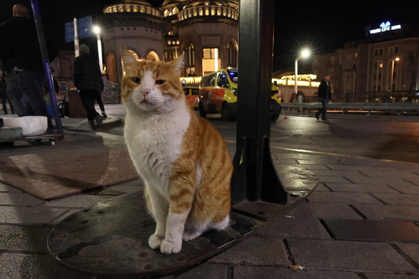 「PowerShot V1」実機レビュー